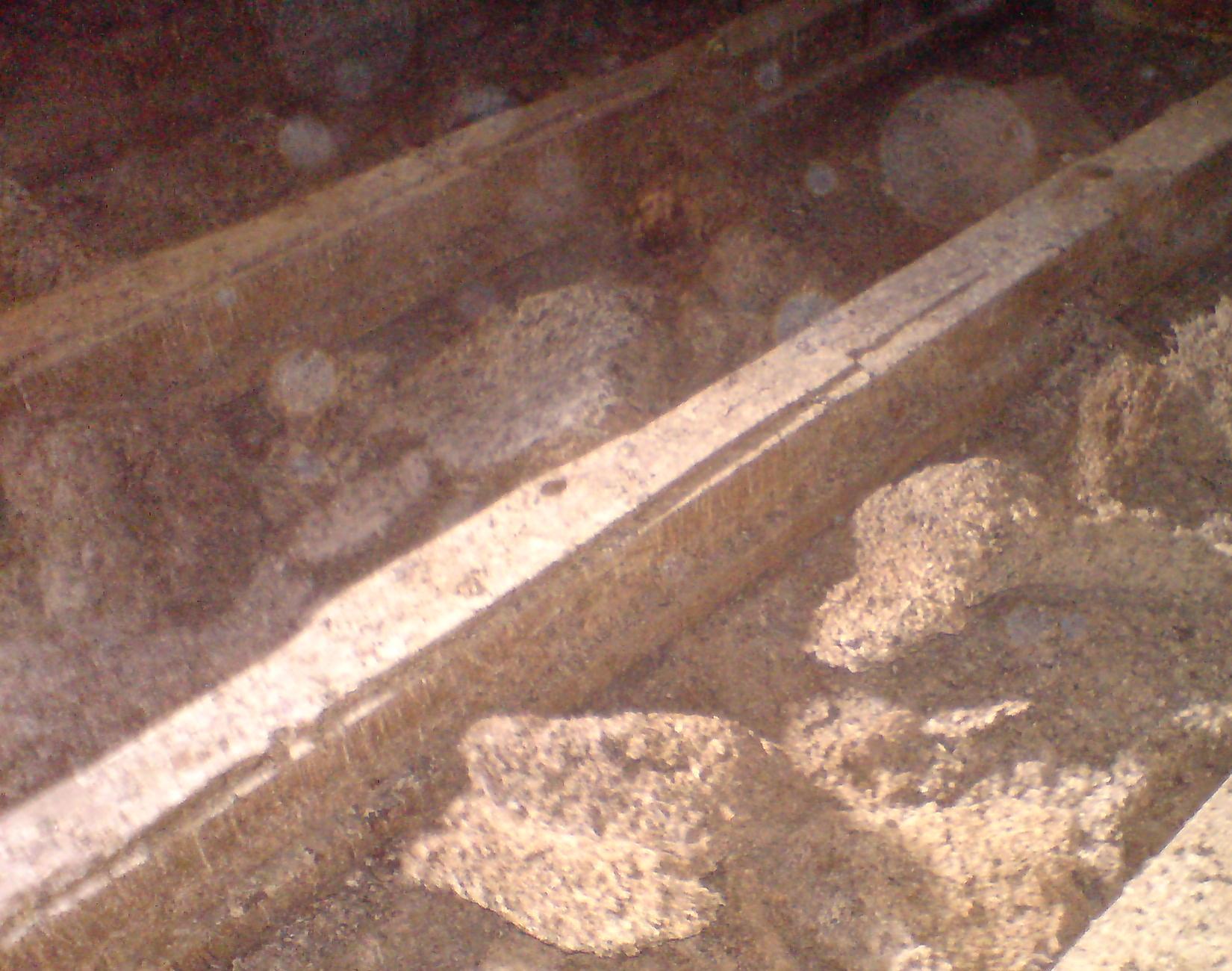 Dezynsekcja, Dezynfekcja, Deratyzacja, Odstraszacze Ptaków, Sprzątanie Strychów